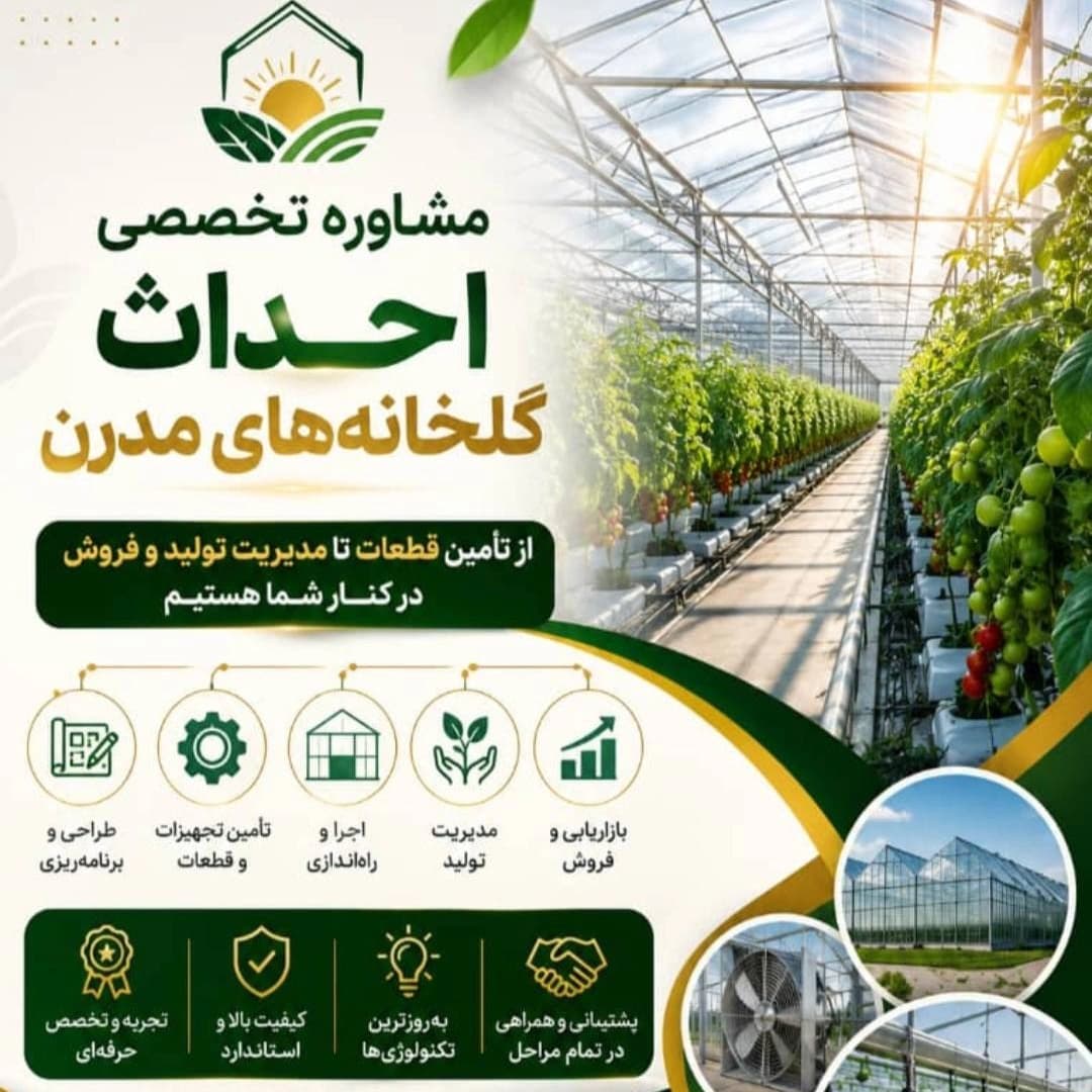 بهترین شرکت سورتینگ